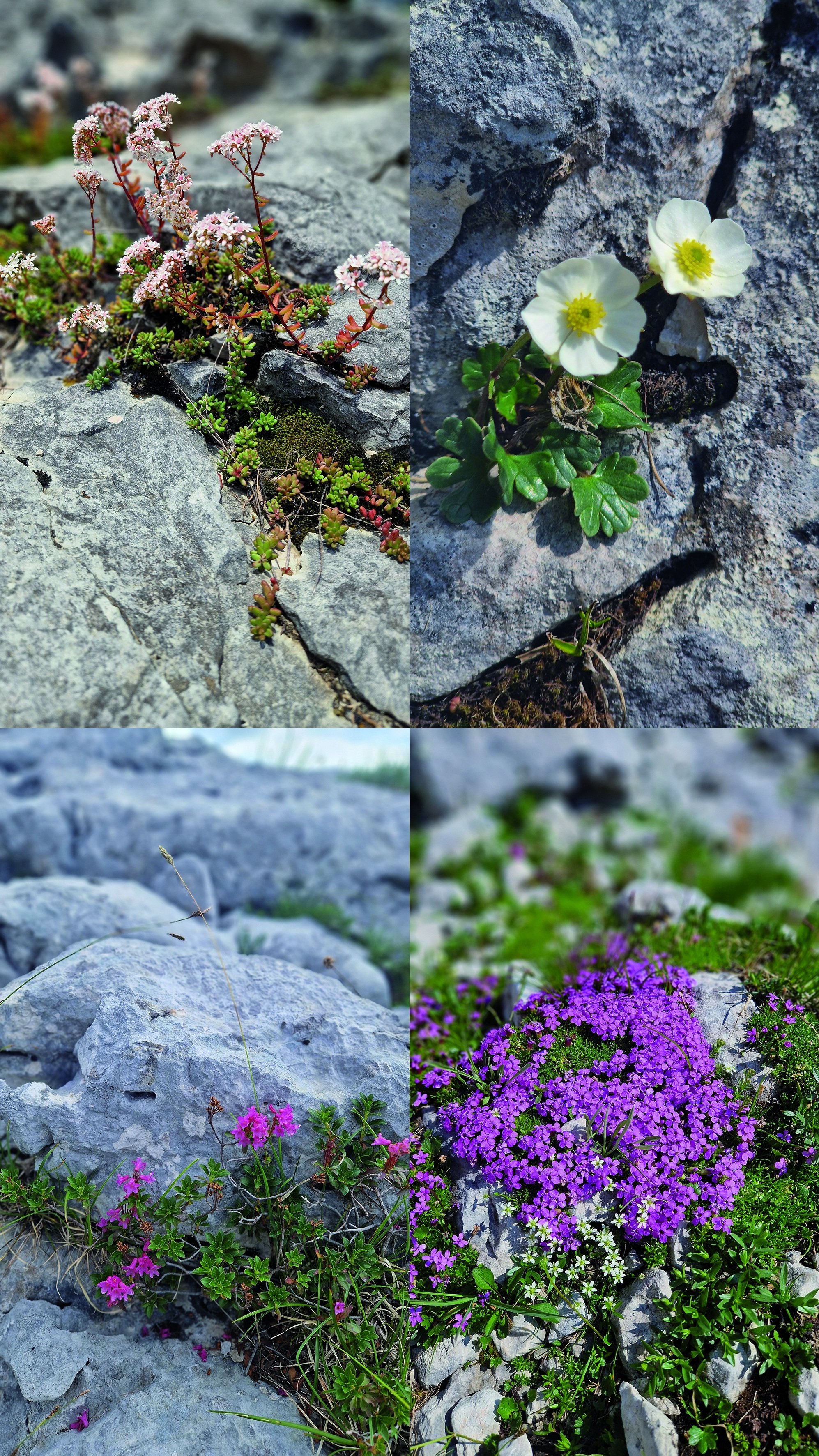 Eine Höhle mit einem Unterwassersee