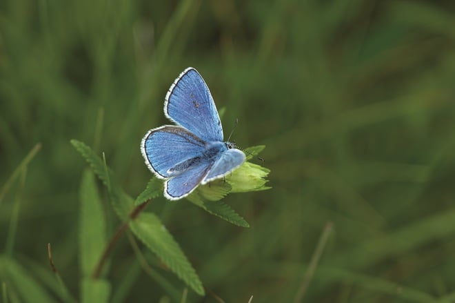 Eine Höhle mit einem Unterwassersee