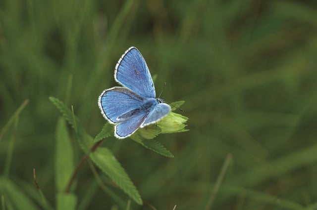 Eine Höhle mit einem Unterwassersee