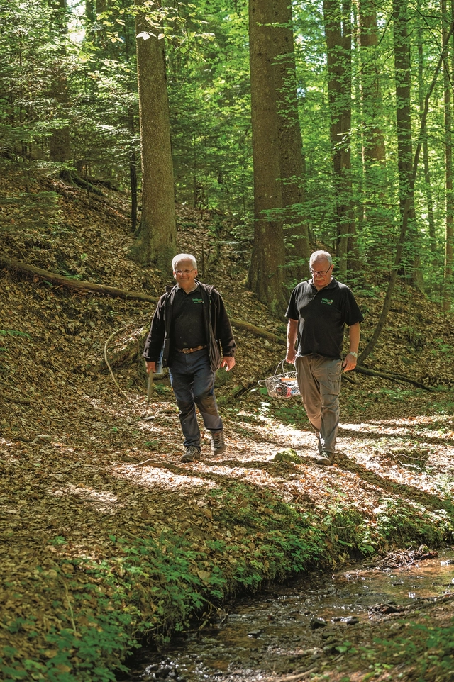 Blick auf eine Brücke aus dem 20. Jahrhundert