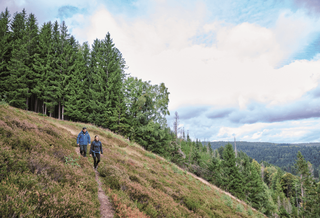 Zwei Wanderer auf einem lichten Berghang