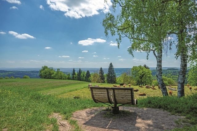 Zwei Wanderer auf einem Wanderweg im Grünen