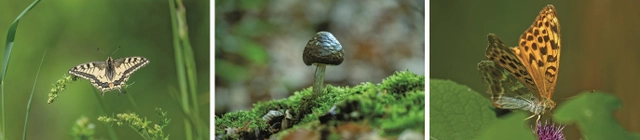 Eine Höhle mit einem Unterwassersee