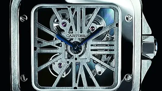 car_santos_100_skeleton