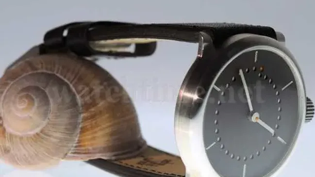 Ochs und Junior Mese