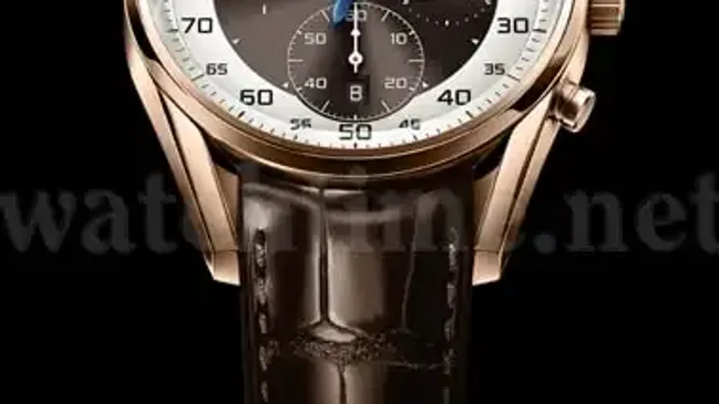 tag-heuer-mikorgrpah-mushroom