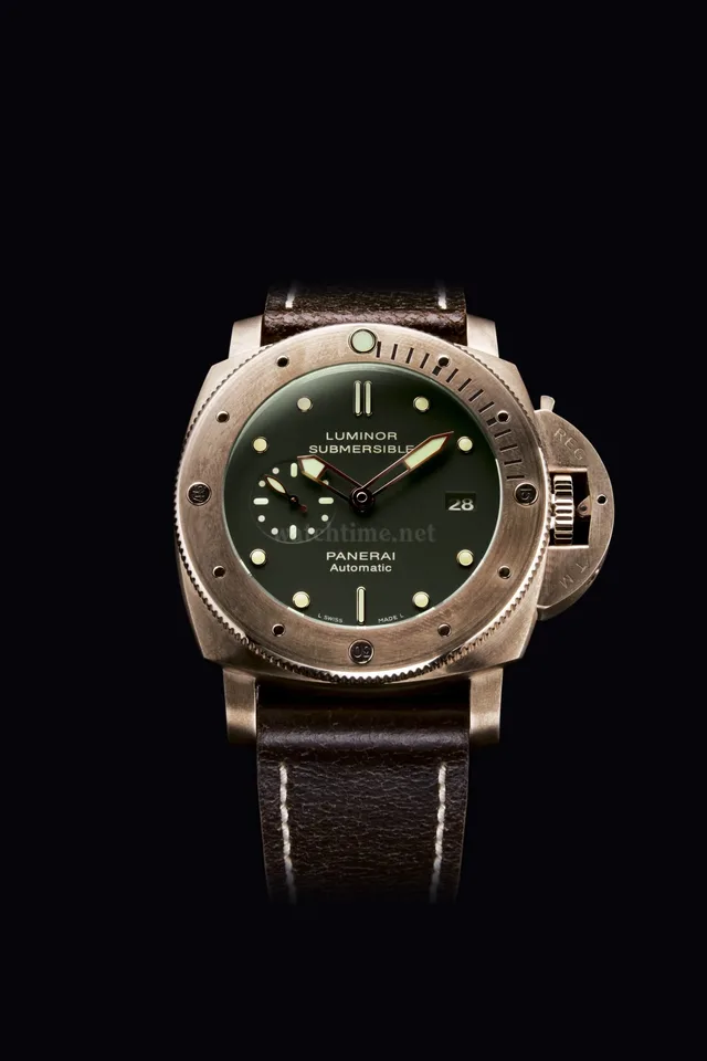 pam00382-detail7