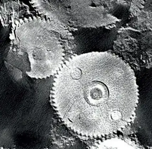 Röntgenaufnahme der Antikythera