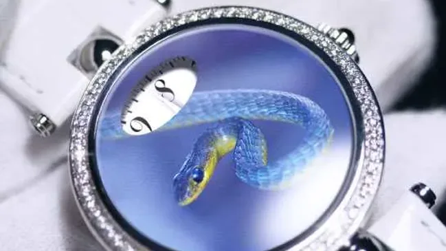 Angular Momentum Blue Snake