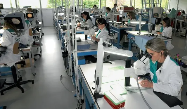 Zugfederfertigung bei Nivarox-FAR