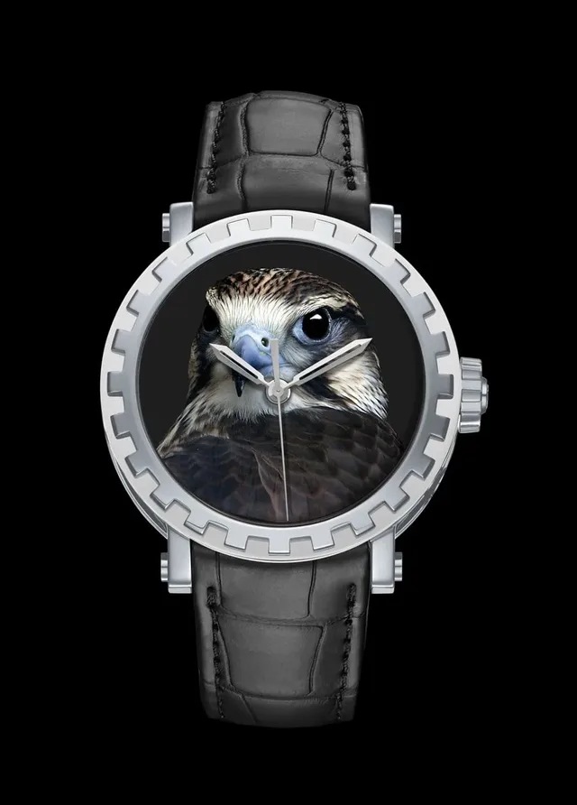 DeWitt Academia Only Watch 2017