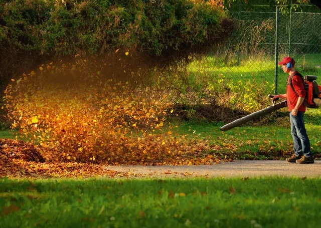 Der Herbst ist da! Foto: Fotolia.com/Smileus