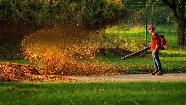 Der Herbst ist da! Foto: Fotolia.com/Smileus