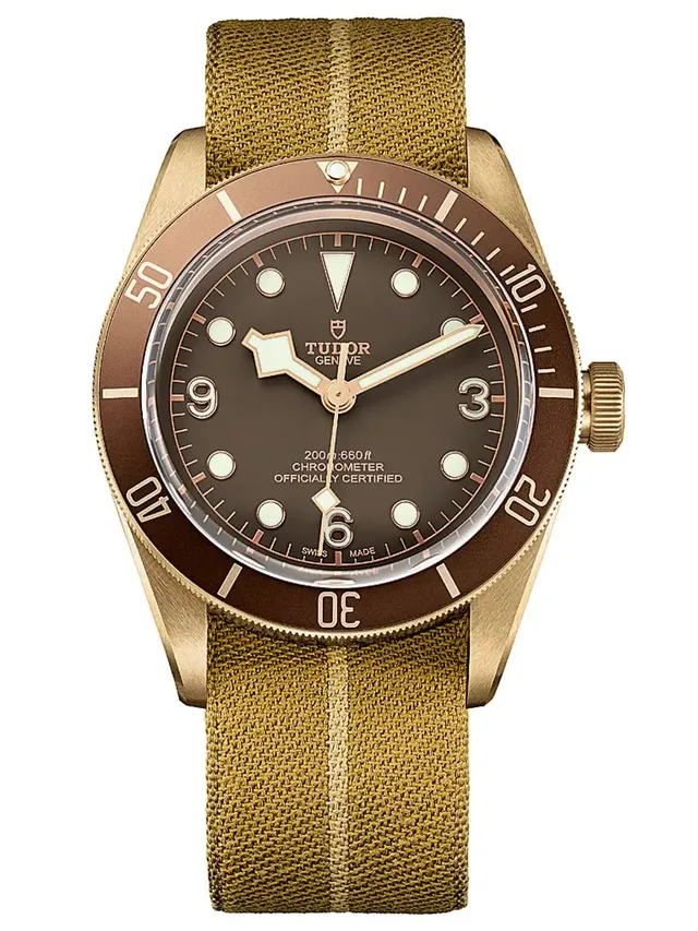 Tudor Heritage Black Bay Bronze