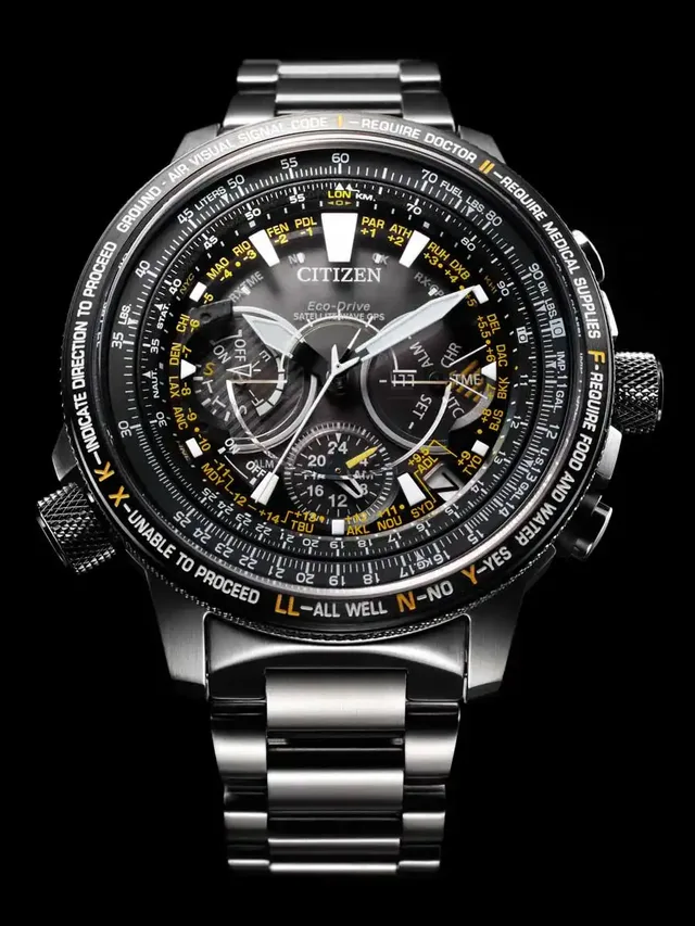 Citizen: Promaster Sky