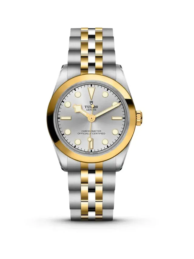 Tudor Black Bay S&G 31 mm