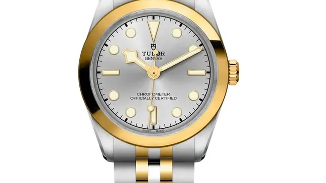 Tudor Black Bay S&G 31 mm