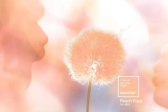 Pantone Color Of The Year 2024 Peach Fuzz 13-1023