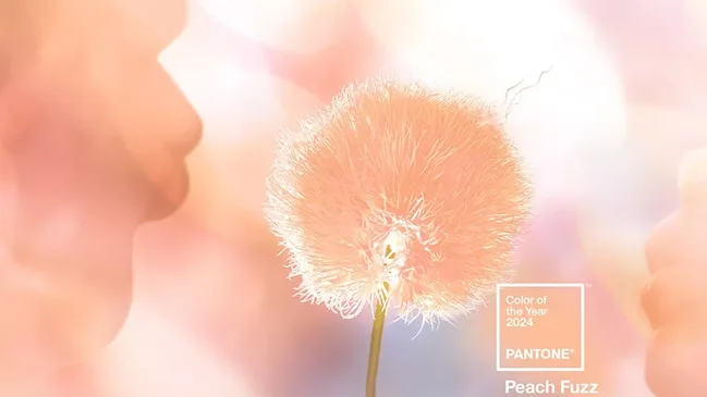 Pantone Color Of The Year 2024 Peach Fuzz 13-1023