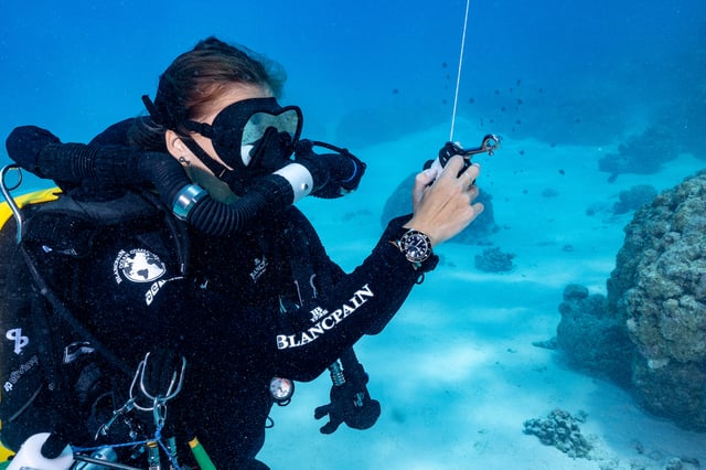 Die Blancpain Fifty Fathoms Tech Ref. 5019A am Arm von Tatiana Boube