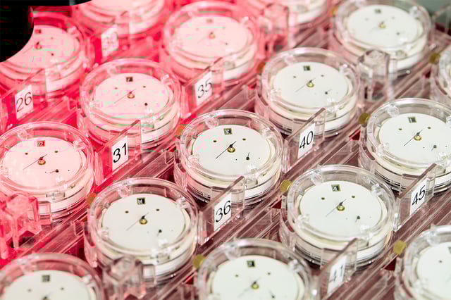 COSC, Prüfanstalt für Uhren