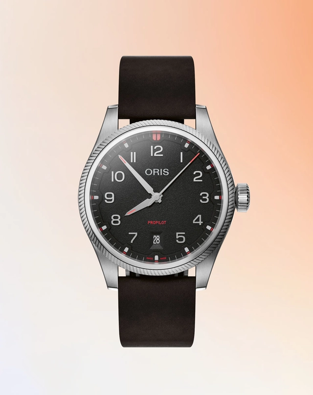 Oris ProPilot Date schwarz Soldat