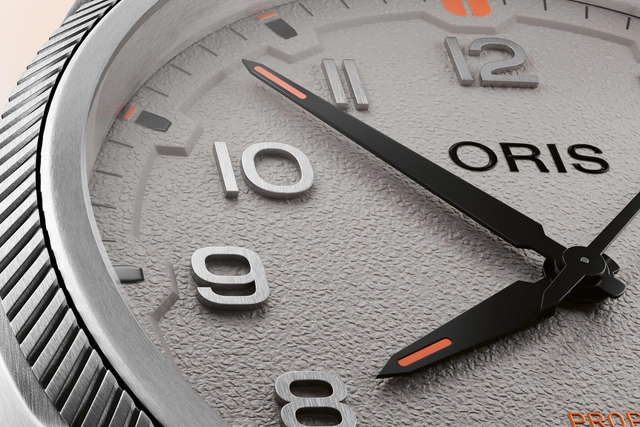 Oris: ProPilot Date Chalk Detail