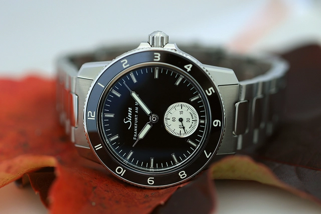 Sinn Spezialuhren 104 Klassik 12, Uhr liegend auf Herbstlaub