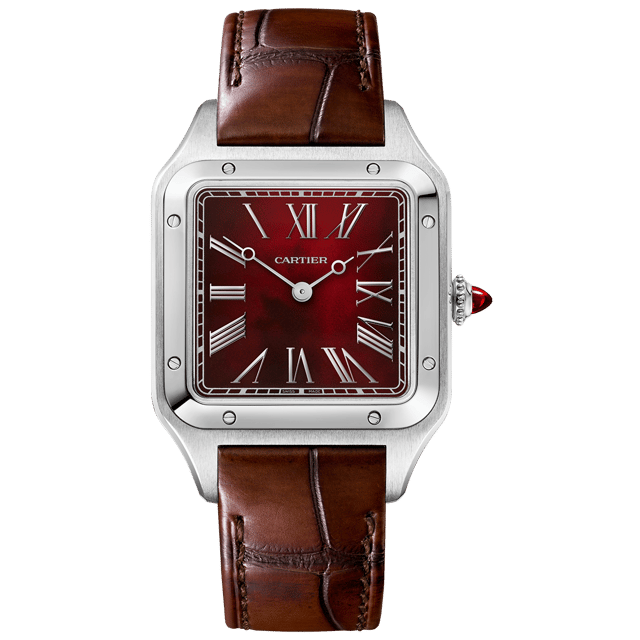 Cartier Santos-Dumont Rewind