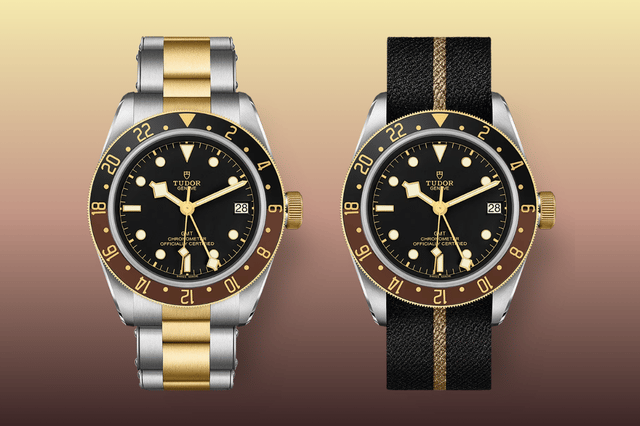 zwei versionen der tudor Black Bay S&G
