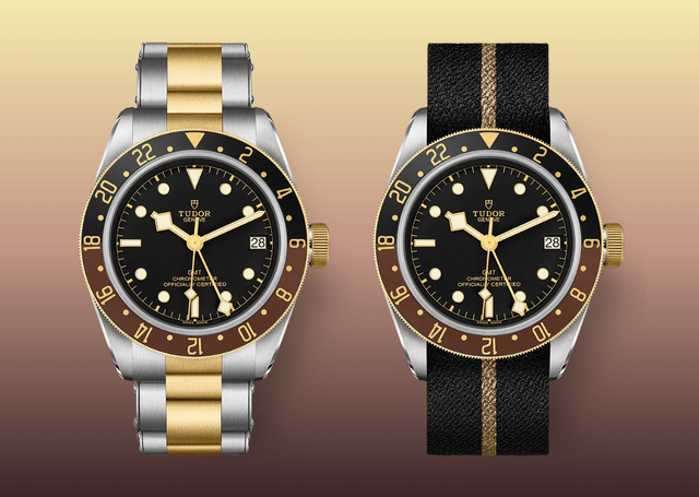 zwei versionen der tudor Black Bay S&G