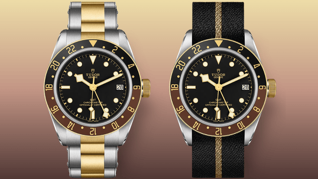 zwei versionen der tudor Black Bay S&G