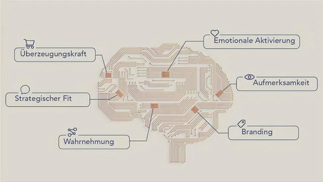 Neurowissenschaftliche Erkenntnisse zeigen, welche Faktoren die Werbewirkung maßgeblich beeinflussen. Sie lassen sich in sechs zentrale Effektivitätstreiber gliedern: Aufmerksamkeit, Branding, Wahrnehmung, strategischer Fit, Emotionale Aktivierung und Überzeugungskraft.
