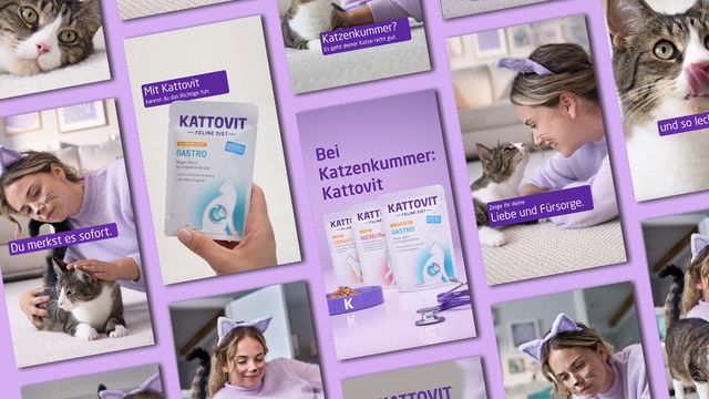 Kattovit will bekannter werden