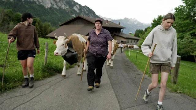 In "Ackern auf der Alp" arbeiten Teilnehmer in den Bergen. 
